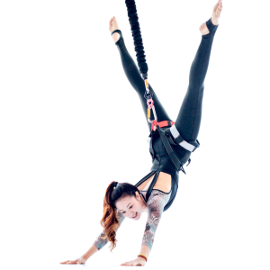 aerial-bungee